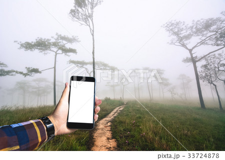 Hand in hipster shirt holding blank smartphone  Hand in hipster shirt holding blank smartphone  33724878