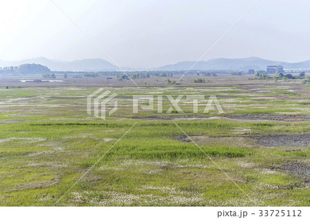 霧 仁川 インチョン 33725112
