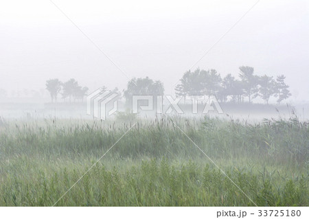 霧 仁川 インチョン 33725180