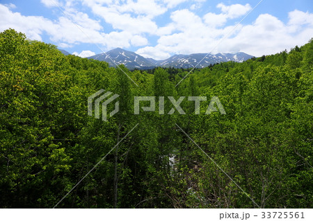 美瑛の風景 美瑛の風景 33725561