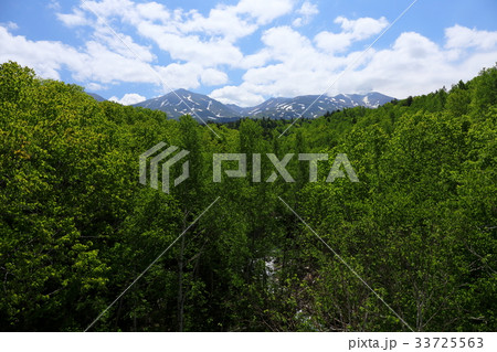 美瑛の風景 美瑛の風景 33725563