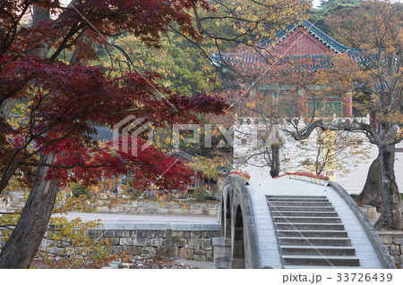 慶南 サムスン半月校 ヨウンチュクサン 33726439