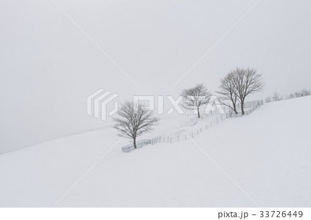 江原道 大関嶺 羊牧場 33726449