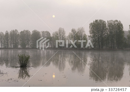 慶南 湿地 霧 33726457