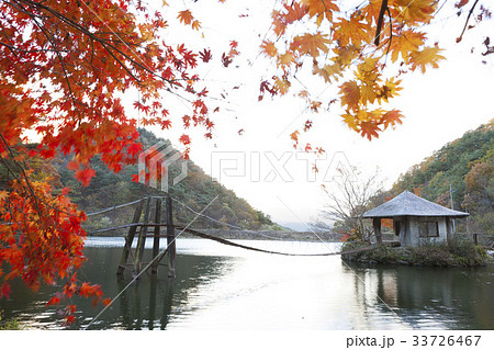 秋 順天市 毎日のレジャータウン 33726467