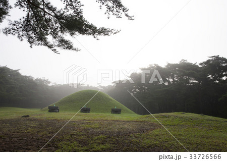 レース同行陵 松 霧 33726566