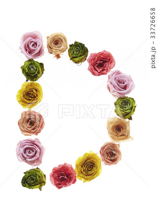 花の文字D 花の文字D 33726658