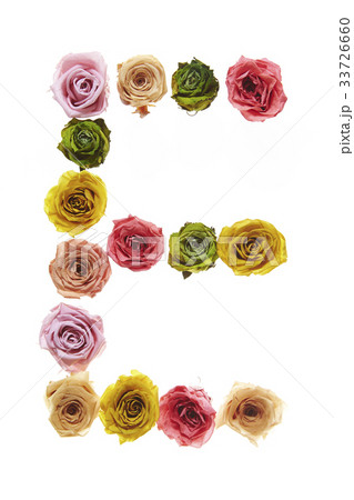 花の文字E 花の文字E 33726660