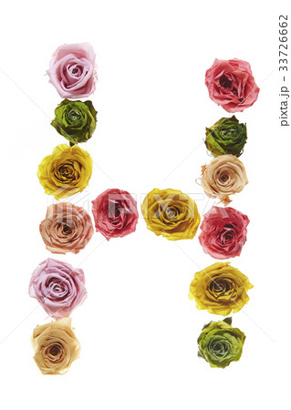 花の文字H 花の文字H 33726662