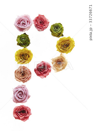 花の文字P 花の文字P 33726671