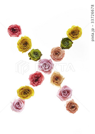 花の文字X 花の文字X 33726678