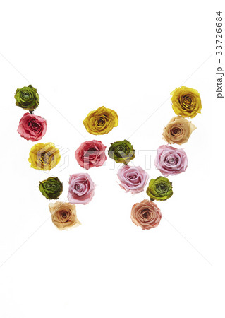 花の文字W 花の文字W 33726684