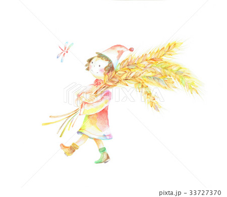 小人 麦 収穫 小人 麦 収穫 33727370