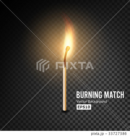 Realistic Burning Match Vector Realistic Burning Match Vector 33727386