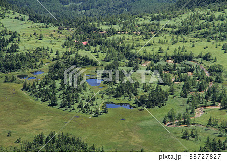志賀草津高原ルート 芳ヶ平湿原 志賀草津高原ルート 芳ヶ平湿原 33727827