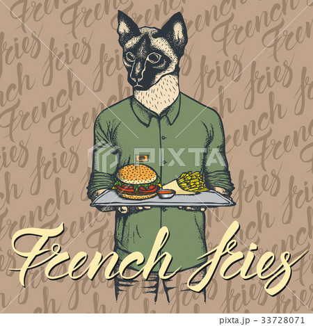 Vector Illustration of cat with burger Vector Illustration of cat with burger 33728071