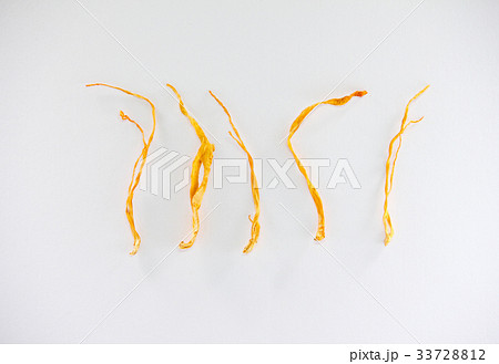 冬虫夏草 33728812