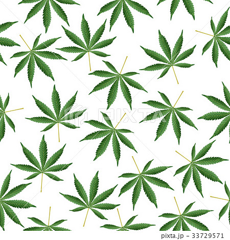 Cannabis Background Marijuana Ganja Weed Hempのイラスト素材
