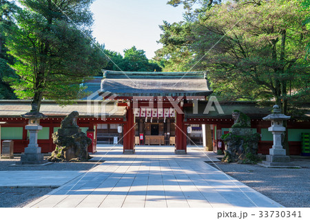 東京 府中 大國魂神社 中雀門 東京 府中 大國魂神社 中雀門 33730341