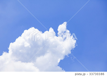 後ろを振り向いたダチョウのように見える雲 33730386