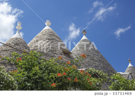 アルベロベッロ アルベロベッロ 33731469