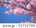 希望の空 33732789