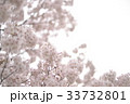 パステル調の花 33732801