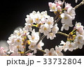 白の宝石 33732804