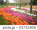 花波 33732806