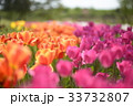 花波２ 33732807