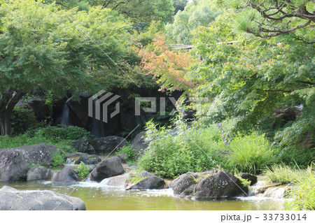 公園の日本庭園 公園の日本庭園 33733014