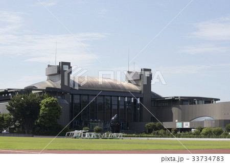 川崎市民ミュージアム 川崎市民ミュージアム 33734783
