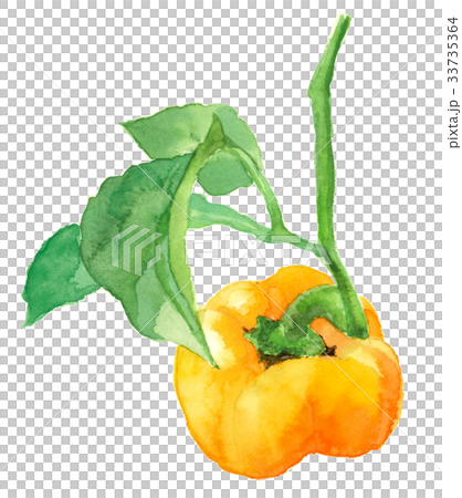 黃色辣椒粉 33735364