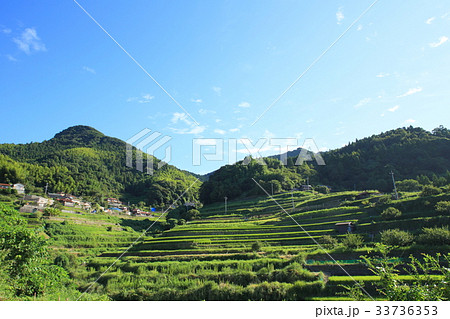 山口県 小畑地区の棚田 山口県 小畑地区の棚田 33736353