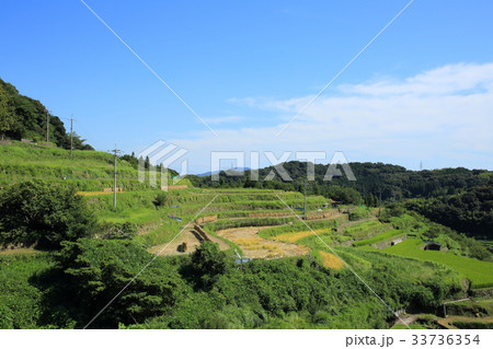 山口県 小畑地区の棚田 山口県 小畑地区の棚田 33736354