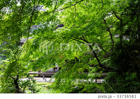 南禅寺 - 南禅院 南禅寺 - 南禅院 33736561