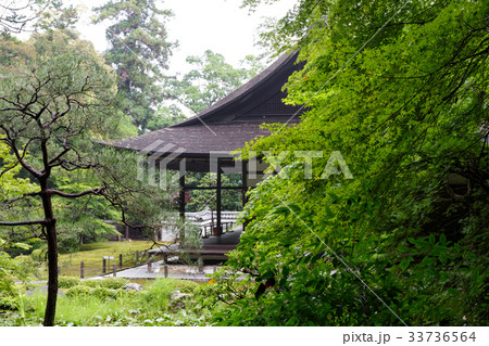南禅寺 - 南禅院 南禅寺 - 南禅院 33736564