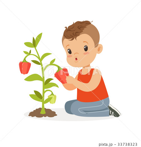 Cute Little Boy Picking Pepper Kid Playing In Theのイラスト素材