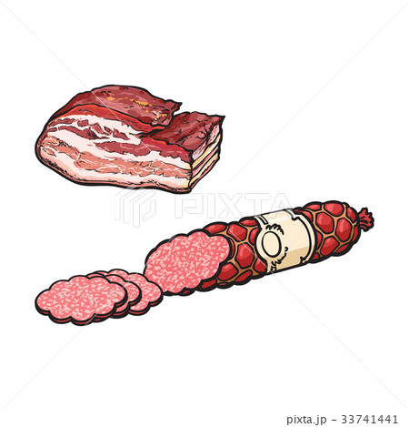 vector sketch salami sausage and lard isolated 33741441