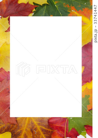 Autumn leaves frame 33741447