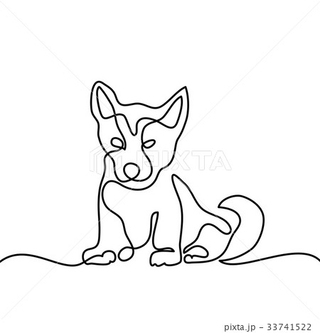 Dog jumping and playing 33741522