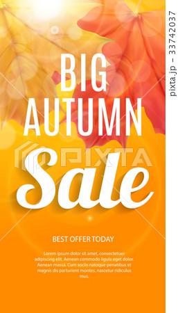 Shiny Autumn Leaves Sale Banner. Business Discount 33742037
