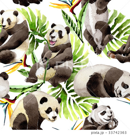 Panda wild animal pattern in a watercolor style. 33742363