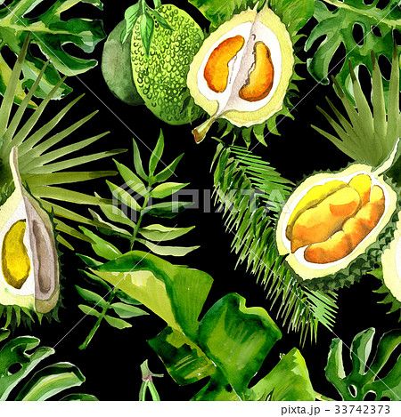 Tropical Hawaii leaves palm tree and durian Tropical Hawaii leaves palm tree and durian 33742373