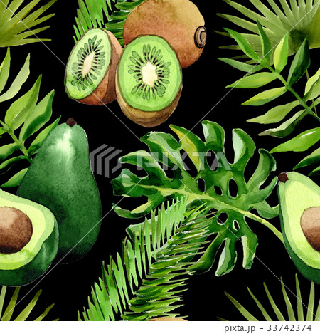 Tropical Hawaii leaves palm tree, kiwi and avocado 33742374