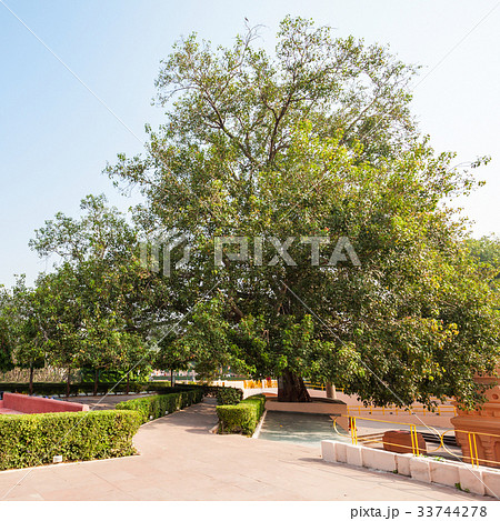 Mahabodhi Temple, Bodhgaya 33744278
