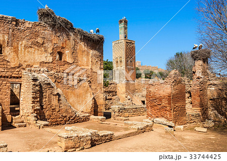 Chellah in Rabat 33744425