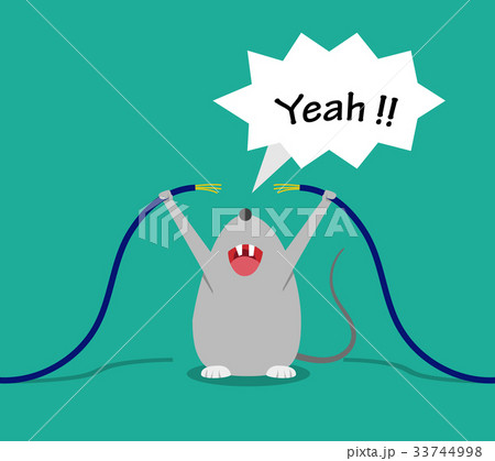 Bad rat happy after bite cable, vector cartoon 33744998