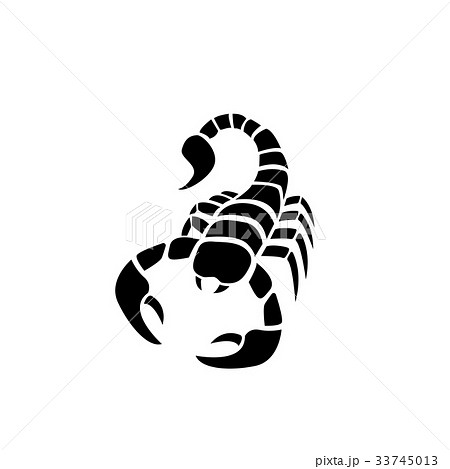 Scorpion Logo Line, Abstract, Zodiac Sign Scorpio, Tribal Tattoo Design  Graphic Illustration Symbol in Trendy Outline Linear Stock Vector -  Illustration of outline, elements: 196183883