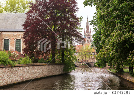 Lake in Begijnhof, Bruges city Lake in Begijnhof, Bruges city 33745295